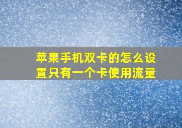 苹果手机双卡的怎么设置只有一个卡使用流量