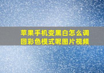 苹果手机变黑白怎么调回彩色模式呢图片视频