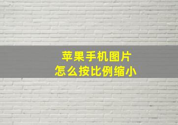 苹果手机图片怎么按比例缩小