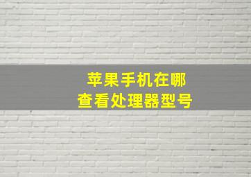 苹果手机在哪查看处理器型号