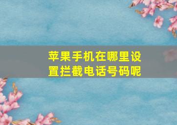 苹果手机在哪里设置拦截电话号码呢