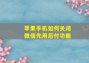 苹果手机如何关闭微信先用后付功能