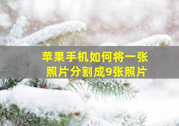 苹果手机如何将一张照片分割成9张照片