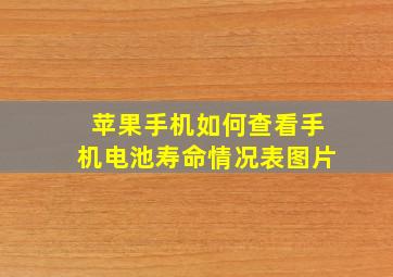 苹果手机如何查看手机电池寿命情况表图片