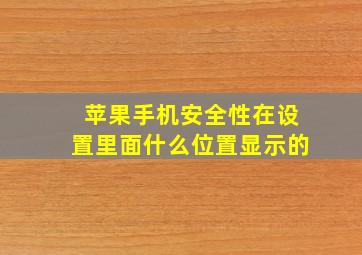 苹果手机安全性在设置里面什么位置显示的