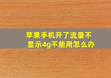 苹果手机开了流量不显示4g不能用怎么办