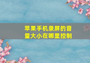 苹果手机录屏的音量大小在哪里控制