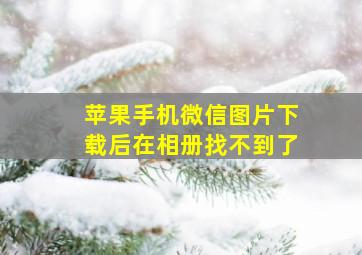 苹果手机微信图片下载后在相册找不到了