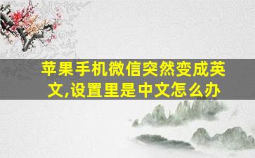 苹果手机微信突然变成英文,设置里是中文怎么办