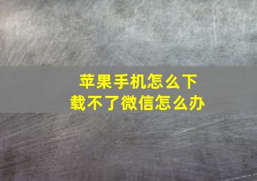 苹果手机怎么下载不了微信怎么办