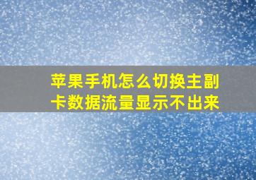 苹果手机怎么切换主副卡数据流量显示不出来