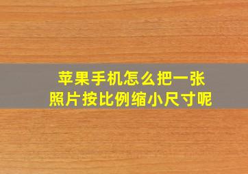 苹果手机怎么把一张照片按比例缩小尺寸呢