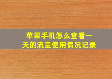 苹果手机怎么查看一天的流量使用情况记录