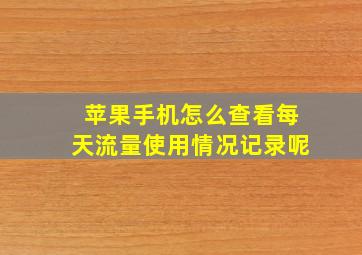 苹果手机怎么查看每天流量使用情况记录呢