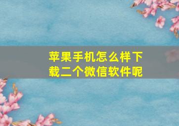 苹果手机怎么样下载二个微信软件呢