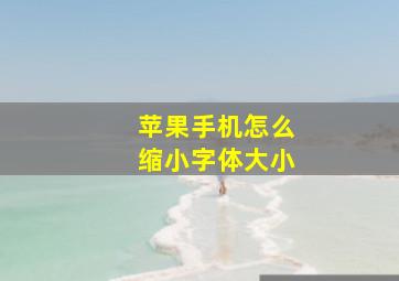 苹果手机怎么缩小字体大小