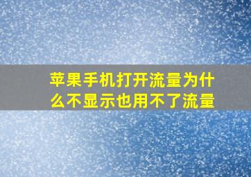 苹果手机打开流量为什么不显示也用不了流量