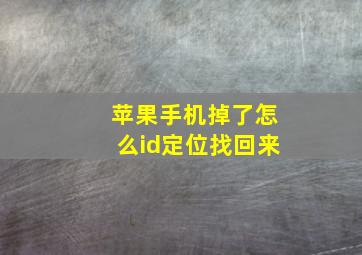 苹果手机掉了怎么id定位找回来