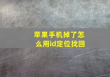 苹果手机掉了怎么用id定位找回