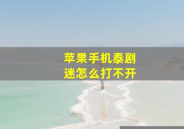 苹果手机泰剧迷怎么打不开