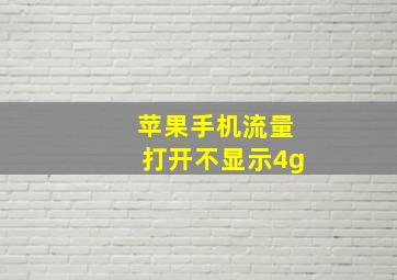 苹果手机流量打开不显示4g