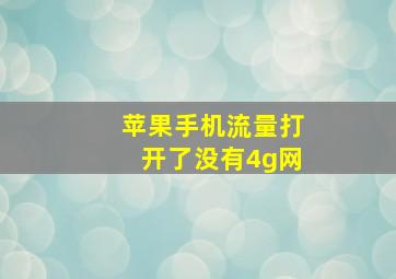 苹果手机流量打开了没有4g网