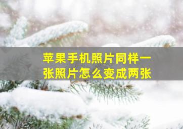 苹果手机照片同样一张照片怎么变成两张