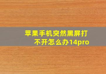 苹果手机突然黑屏打不开怎么办14pro