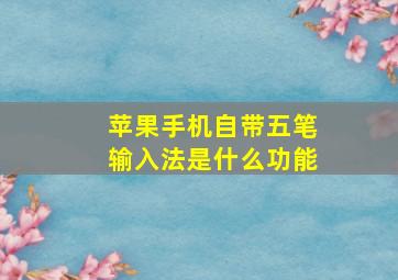 苹果手机自带五笔输入法是什么功能