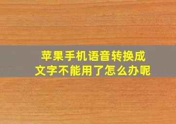 苹果手机语音转换成文字不能用了怎么办呢