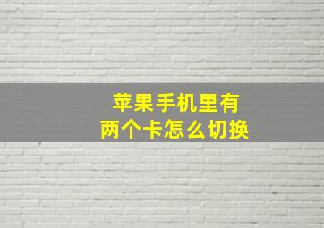 苹果手机里有两个卡怎么切换