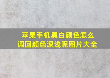 苹果手机黑白颜色怎么调回颜色深浅呢图片大全