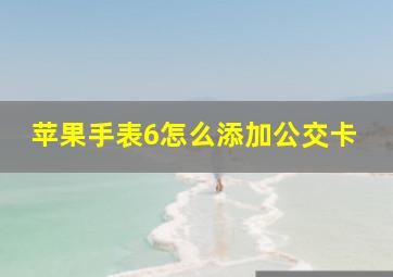 苹果手表6怎么添加公交卡