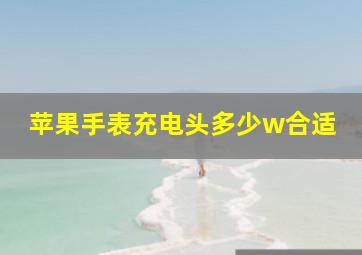 苹果手表充电头多少w合适