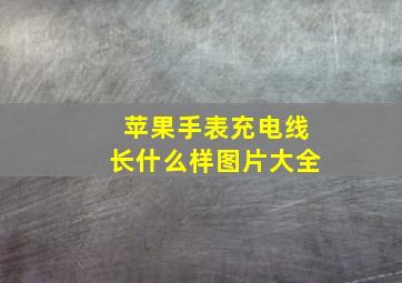 苹果手表充电线长什么样图片大全