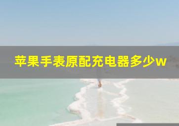 苹果手表原配充电器多少w