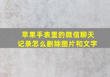 苹果手表里的微信聊天记录怎么删除图片和文字