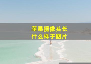 苹果摄像头长什么样子图片