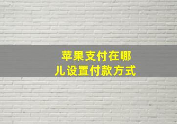 苹果支付在哪儿设置付款方式