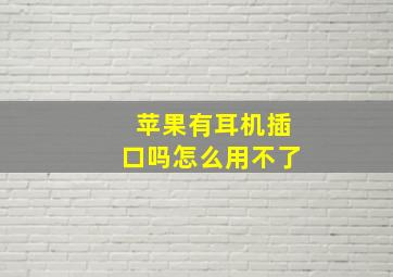 苹果有耳机插口吗怎么用不了