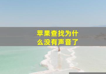 苹果查找为什么没有声音了