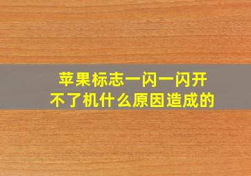 苹果标志一闪一闪开不了机什么原因造成的