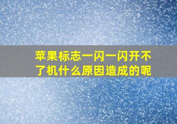 苹果标志一闪一闪开不了机什么原因造成的呢