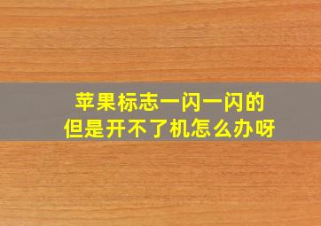 苹果标志一闪一闪的但是开不了机怎么办呀