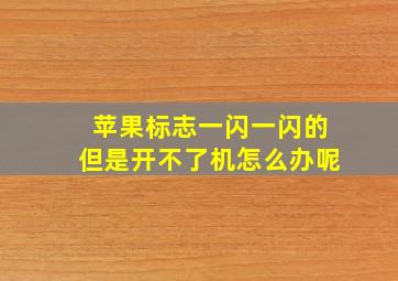 苹果标志一闪一闪的但是开不了机怎么办呢