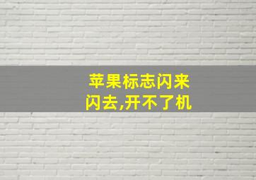 苹果标志闪来闪去,开不了机