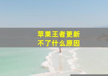 苹果王者更新不了什么原因