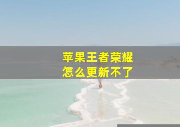 苹果王者荣耀怎么更新不了