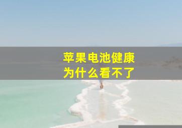 苹果电池健康为什么看不了