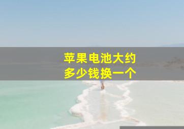 苹果电池大约多少钱换一个